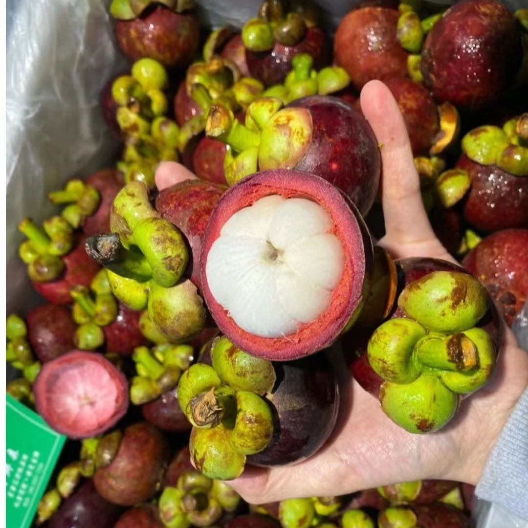 山竹【水果皇后】500g