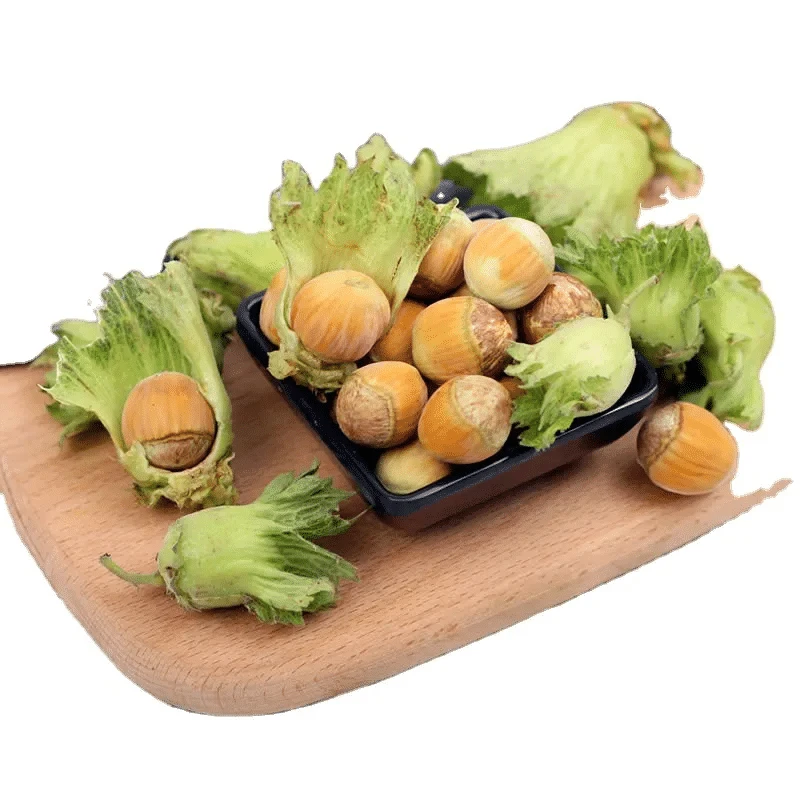 东北新鲜带绿皮水仁大榛子现摘现发坚果特产