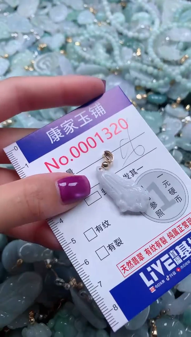 颈饰未镶嵌翡翠1320