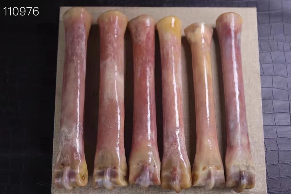 天然驼骨骆驼骨头文玩泡酒料高密度手把件摆件整腿骨切片打磨