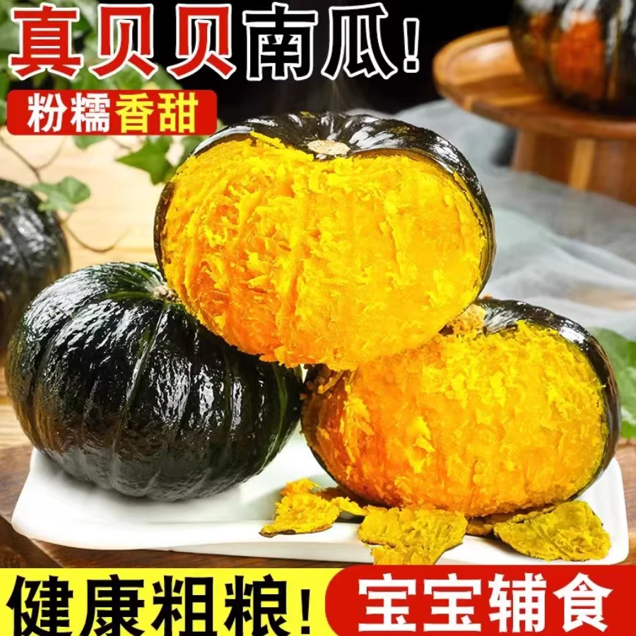 贝贝南瓜栗香南瓜婴儿辅食板栗味南瓜粉面甜净重2斤
