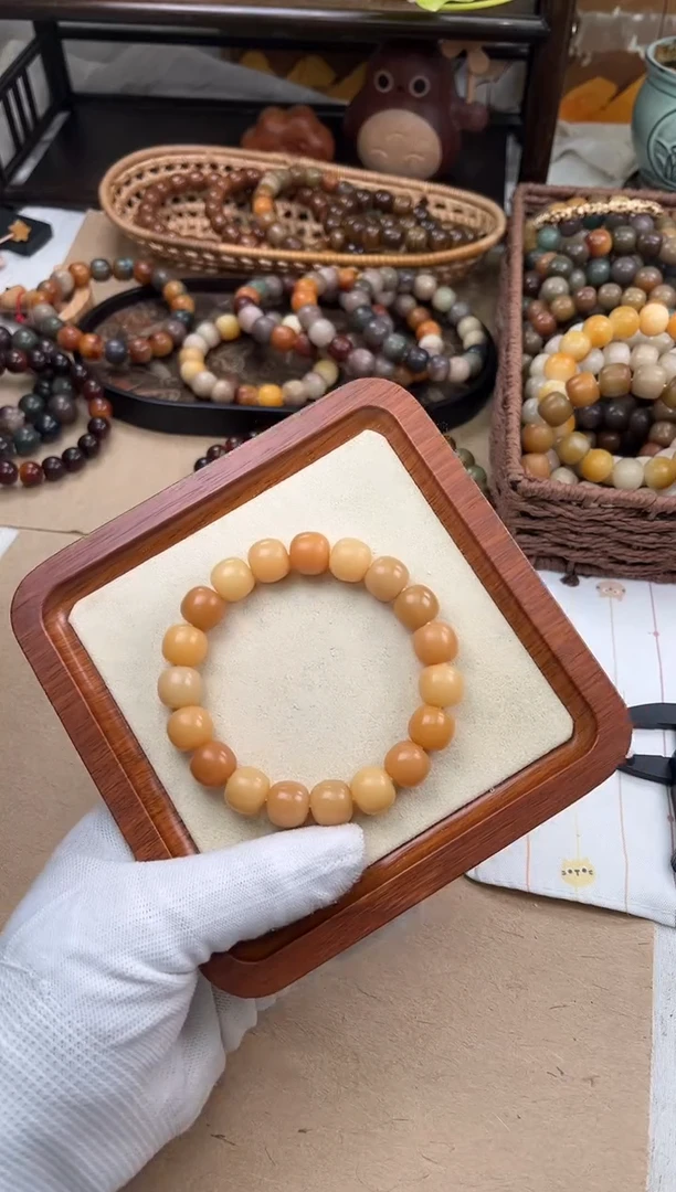 手串菩提根/象牙果a195 卡12.8 干磨海子