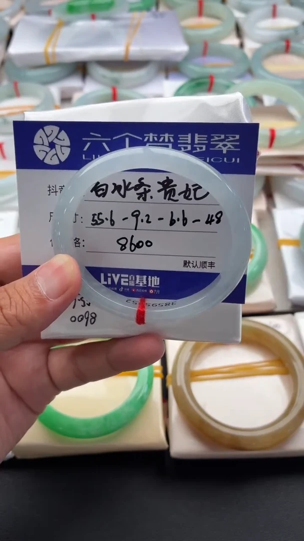 未镶嵌手镯（贵妃镯）翡翠白冰条贵妃