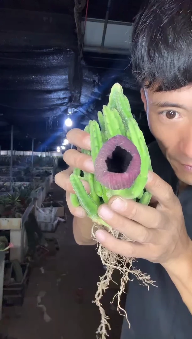 钟楼阁===========