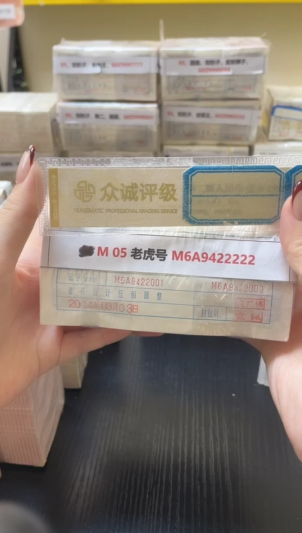 M 05 老虎号 M6A9422222