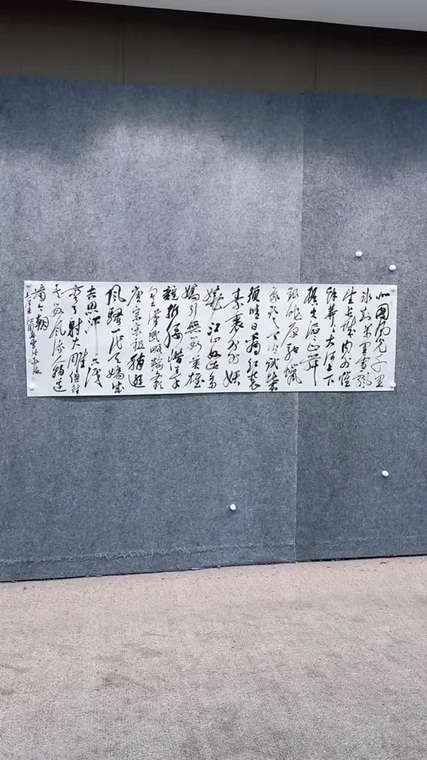 【闪购商品】书法pmw不二轩旗舰店国画ZJD3