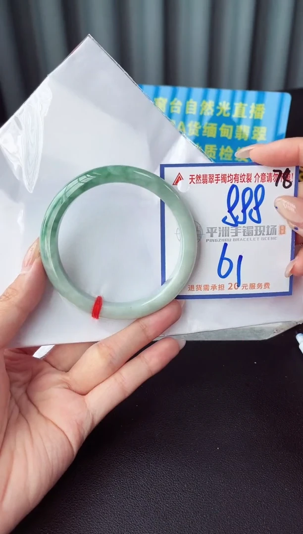 未镶嵌手镯翡翠1111