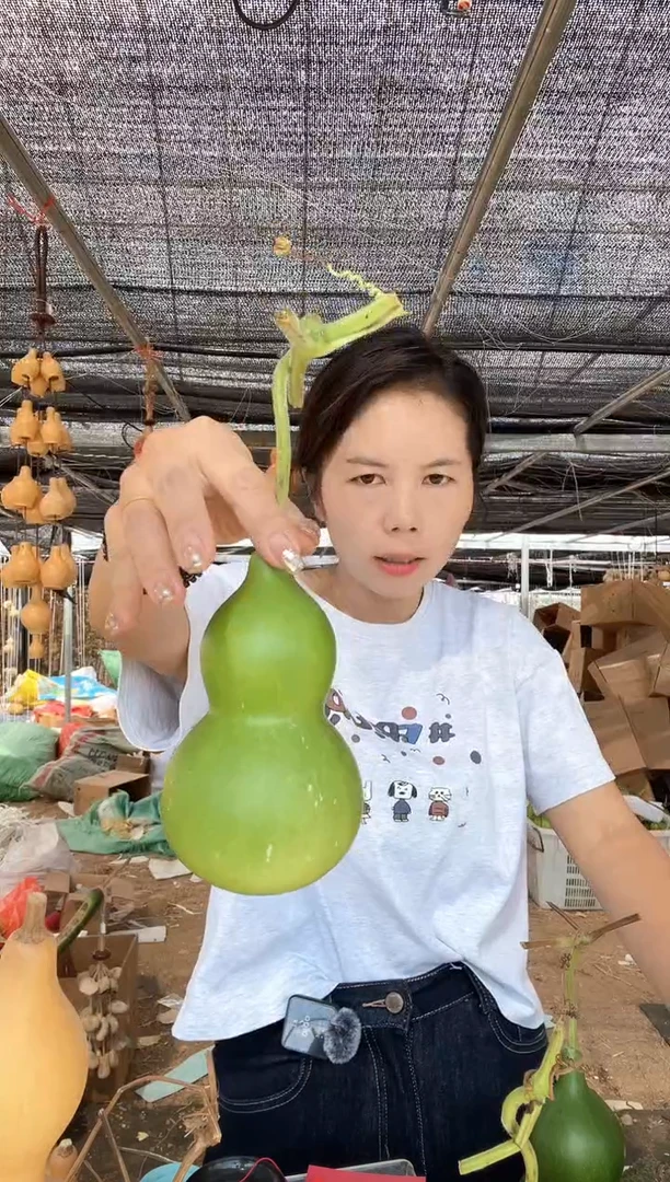 737天然葫芦摆件 一物一拍龙头不保售后