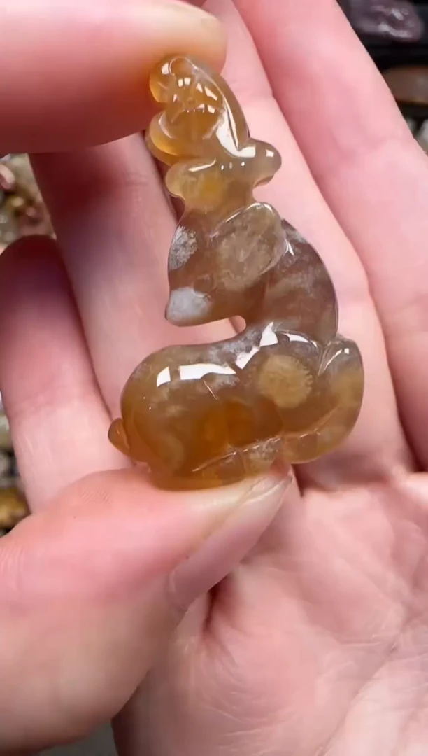 颈饰未镶嵌硅化珊瑚（珊瑚玉）190