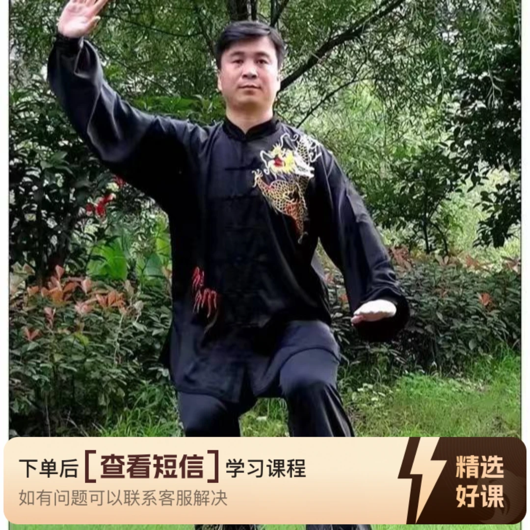 陈式太极拳老架一路精品课（留意短信解锁课程）