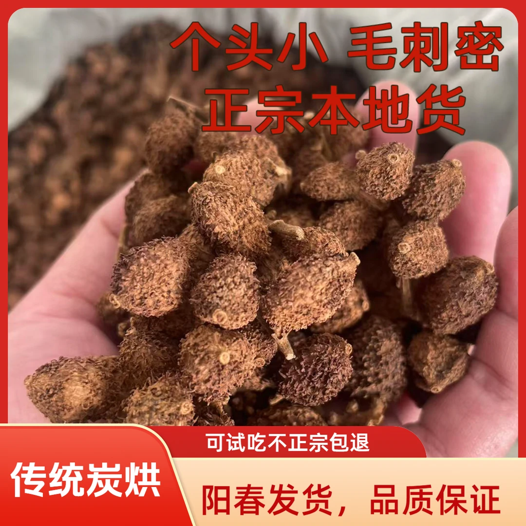 阳春砂仁产地直发【传统炭烘】正宗黄苗仔春砂仁煲汤泡茶支持试吃