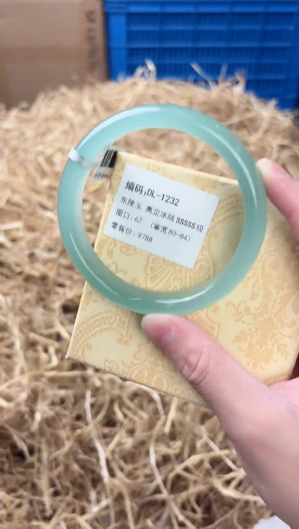 未镶嵌手镯石英质玉DL-1232