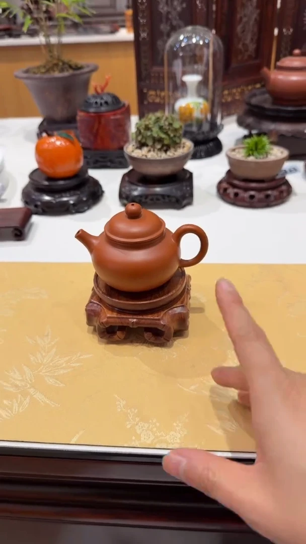 紫砂1紫砂紫砂紫砂紫砂紫砂1