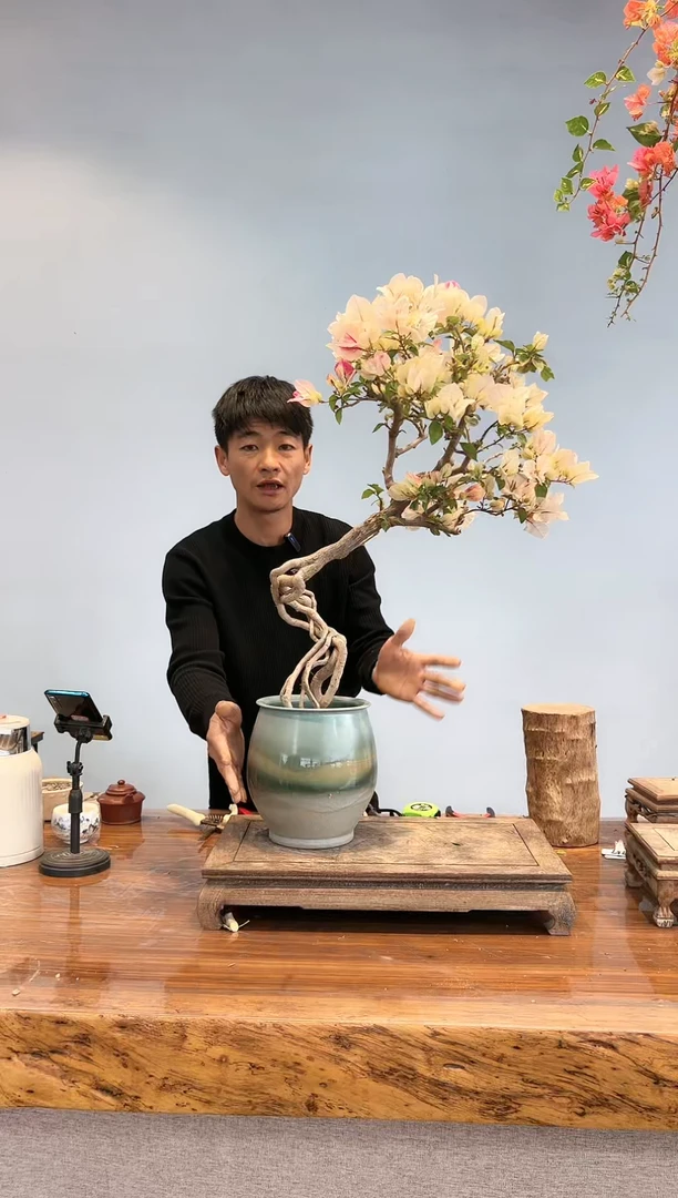 【闪购商品】aa908