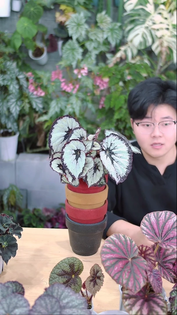 完全开放着装规则