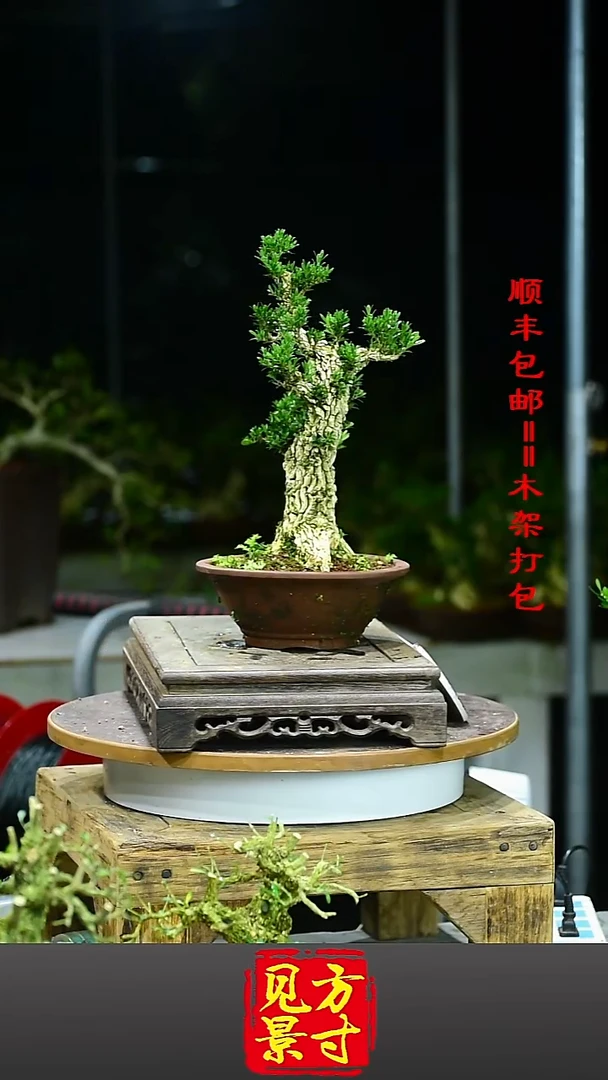 牛*333333333333333