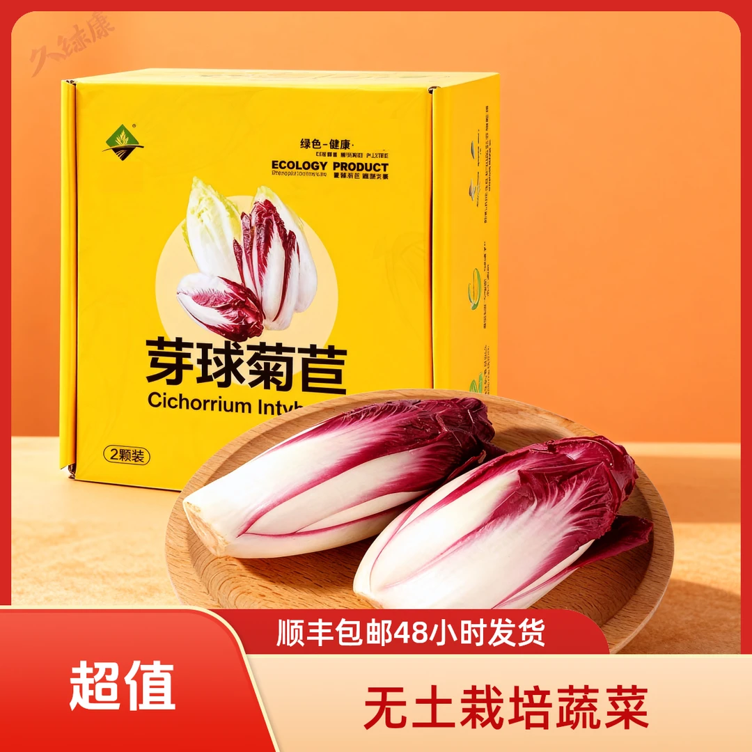 2盒两颗紫玉兰菜红菊苣菜红玉兰菜紫菊苣菜无土栽培蔬菜顺丰包邮