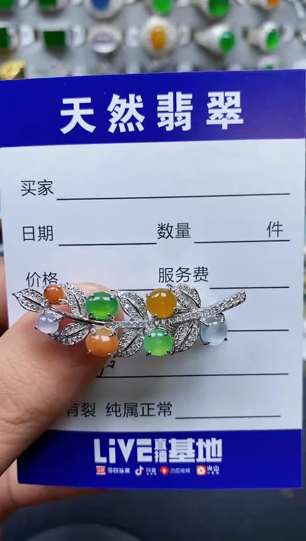 【闪购商品】翡翠颈饰银S925镶嵌0360