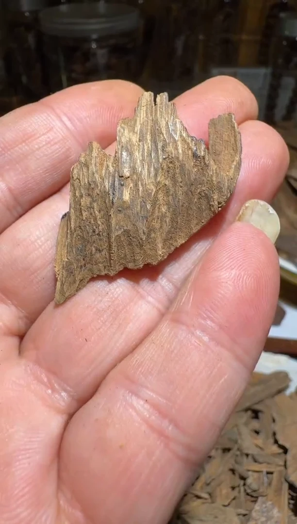 沉香沉香碎屑惠安系2.3克