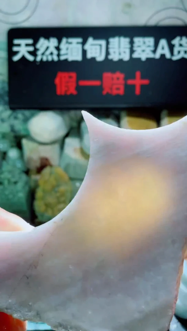 颈饰未镶嵌翡翠随缘1189