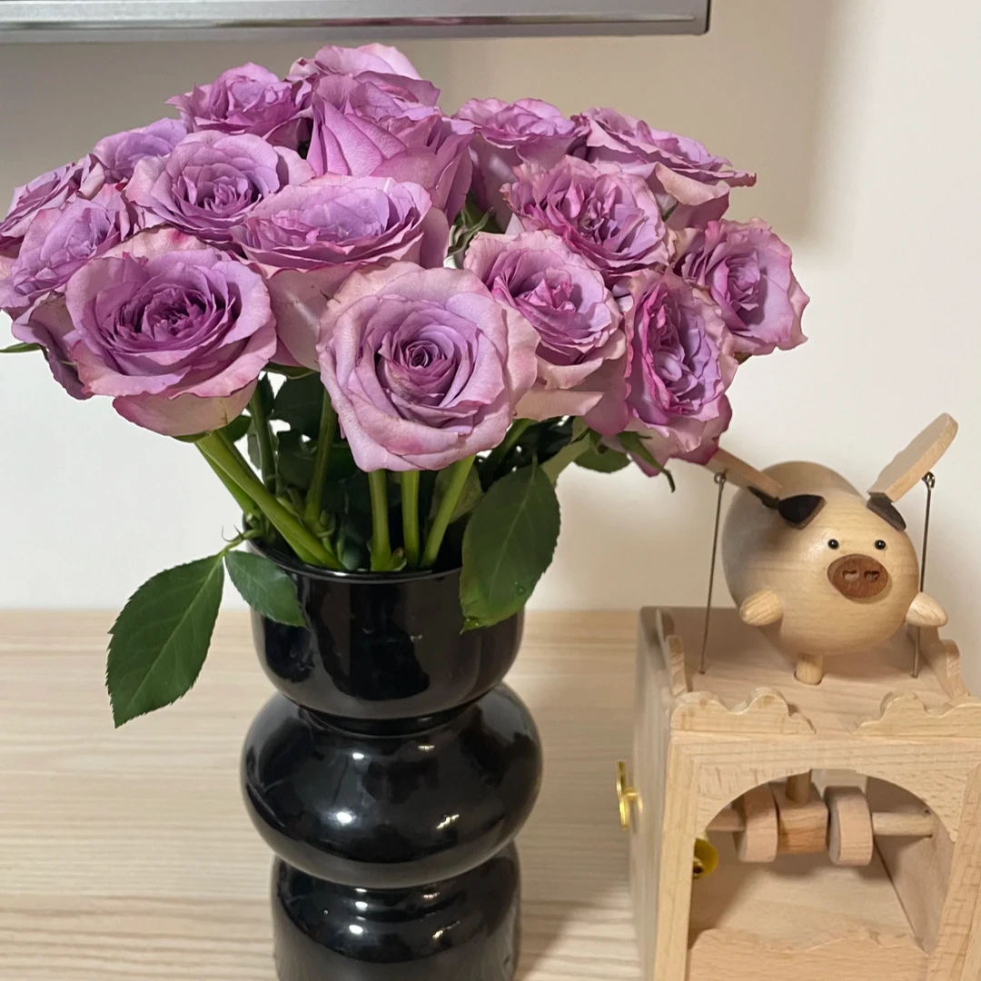 【紫霞仙子玫瑰】云南鲜花基地直发玫瑰花仙子之吻多头
