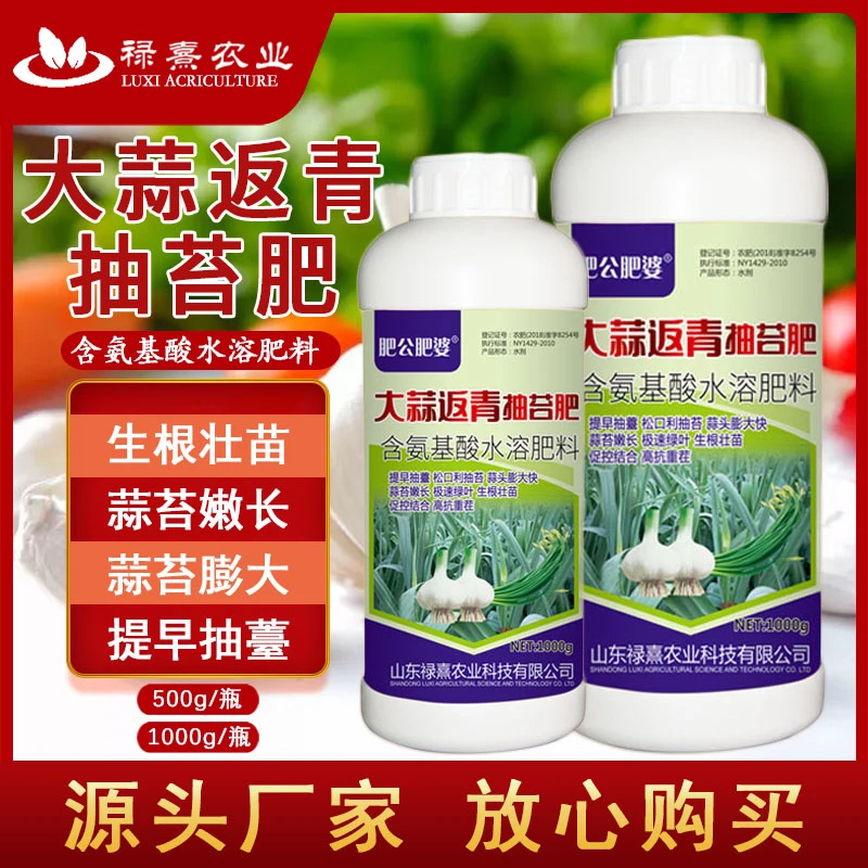 肥公肥婆大蒜返青抽苔肥出苔齐蒜头大蒜苔粗专用增产早熟叶面肥