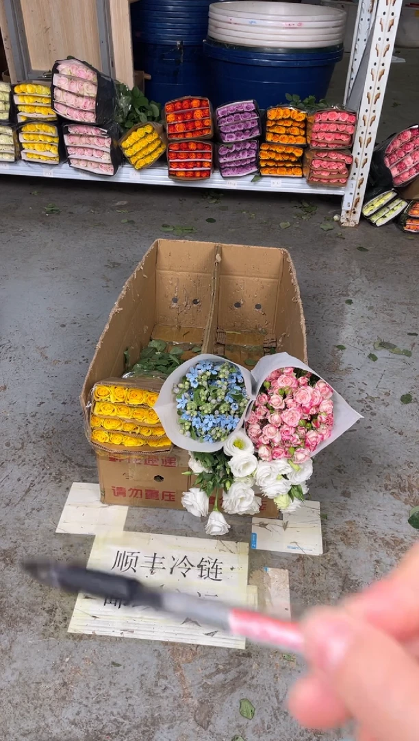 月光漫步20枝+折射10枝+白桔梗800克+蓝星花