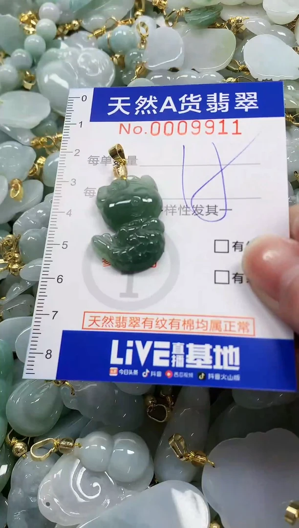 颈饰未镶嵌翡翠纯天然a货翡翠