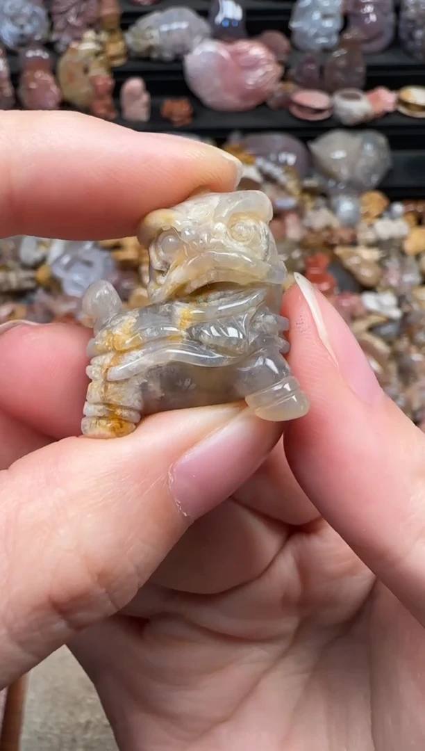 颈饰未镶嵌硅化珊瑚（珊瑚玉）729