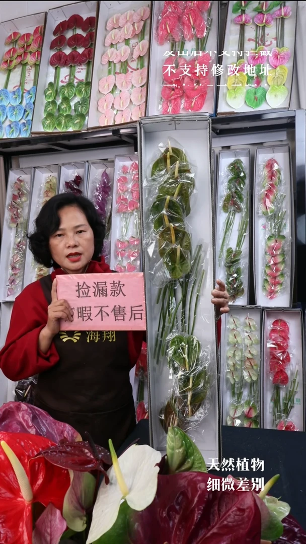 完全开放欧丽维斯16枝(长25-30横冠幅7-10有瑕福利不退不换不售后