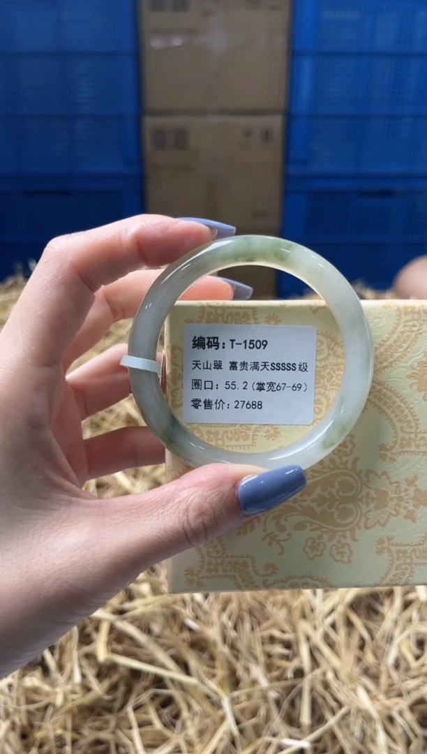 未镶嵌手镯石英质玉T1509
