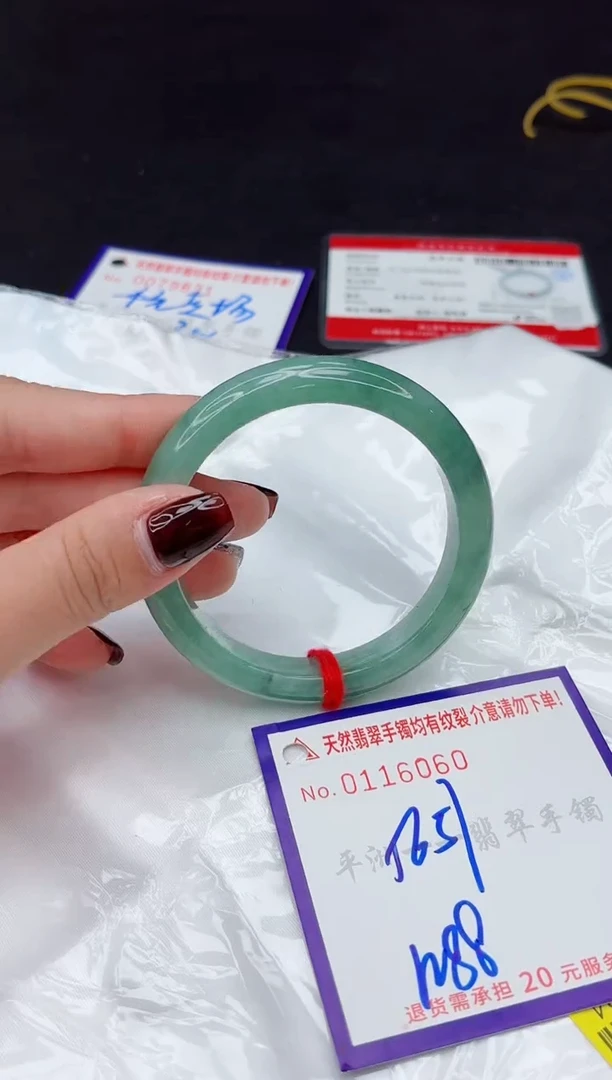 未镶嵌手镯翡翠1111111