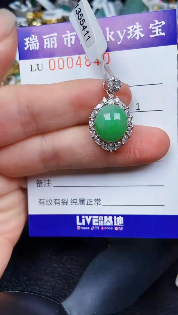 翡翠银S925镶嵌颈饰4840