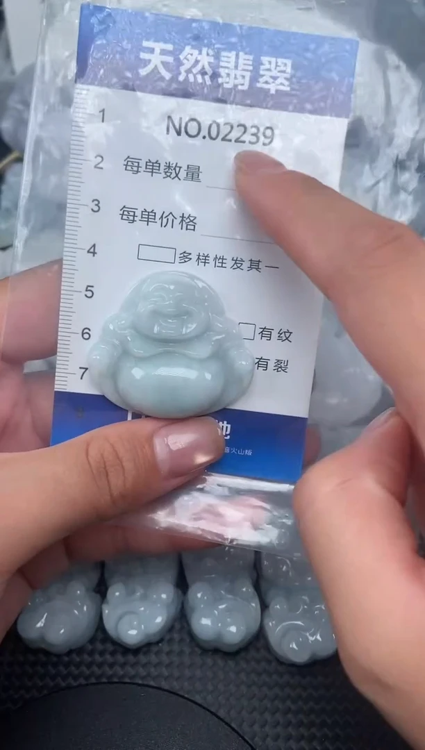 颈饰未镶嵌翡翠纯天然A货翡翠2239