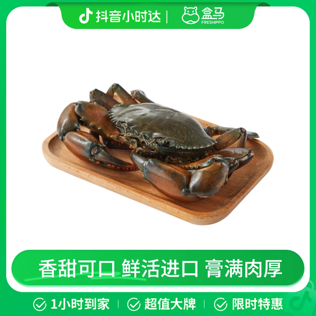 【十足蟹】鲜活 红树林大青蟹(公蟹/肉蟹)300-400g