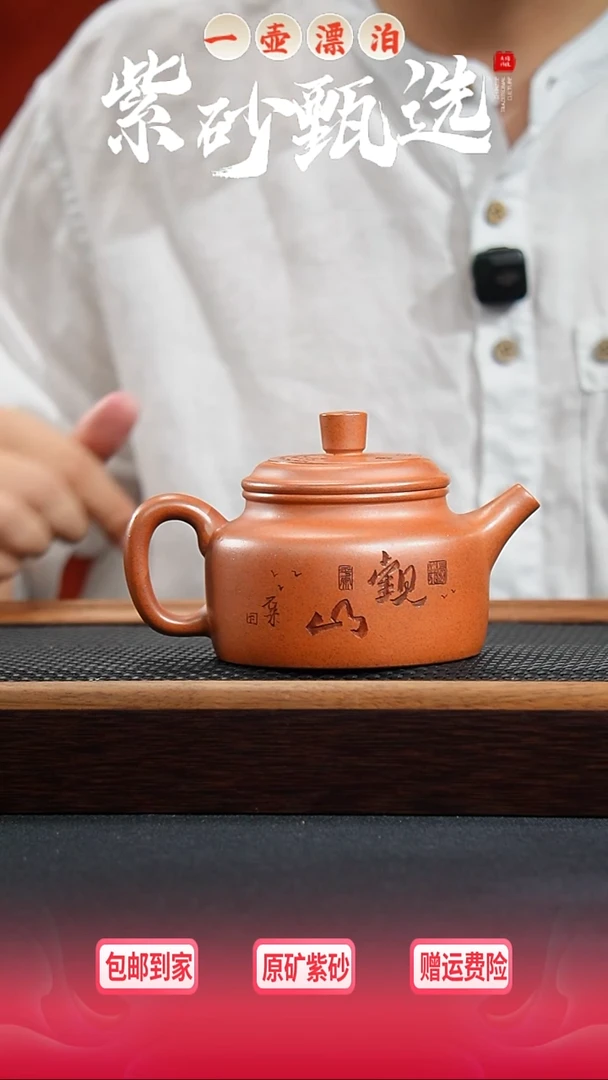 茶壶紫砂 一壶漂泊紫砂茶器1017