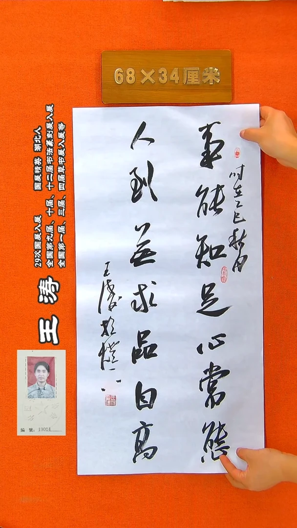 书法23a王涛书法作品