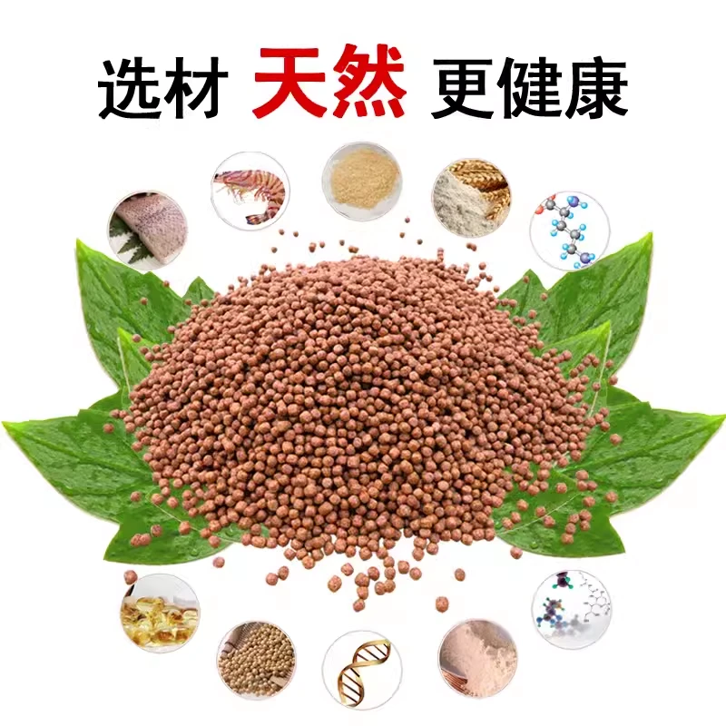 观赏淡水冷水鱼通用增色鱼饲料1mm