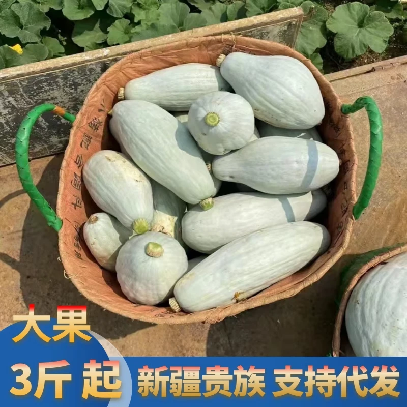 新疆贵族南瓜粉糯香甜新鲜蔬菜金丝栗瓜甜南瓜现摘板栗丑瓜老南瓜
