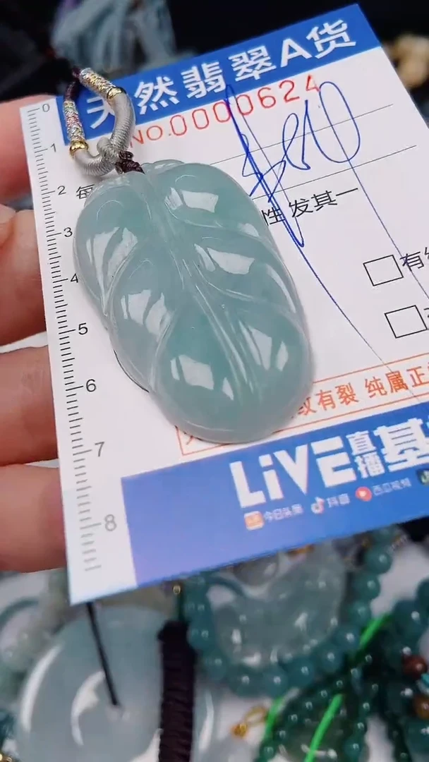 颈饰未镶嵌翡翠00000624