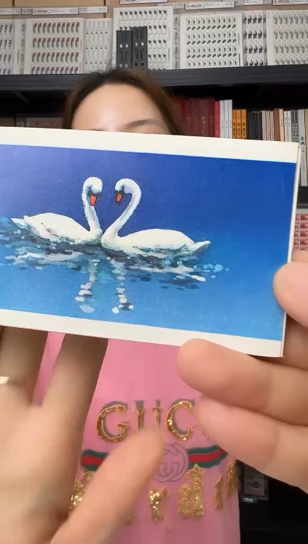 SB10 天鹅小本票