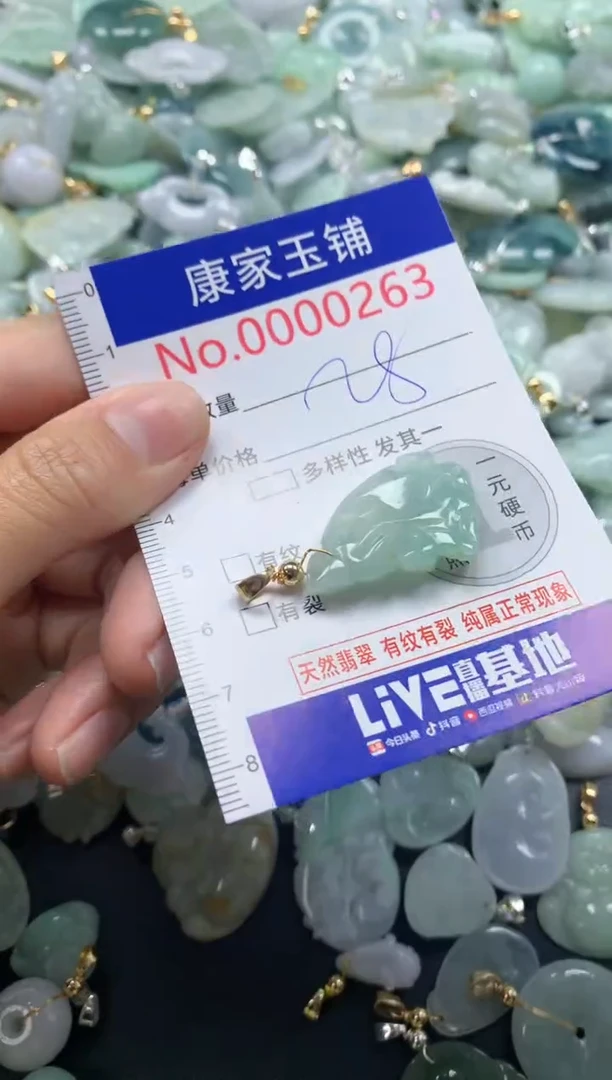 颈饰未镶嵌翡翠263