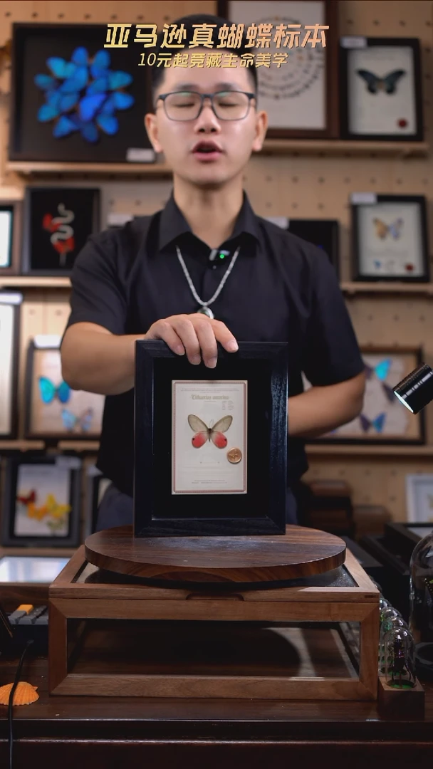 玫瑰绡眼蝶设计款8寸黑框