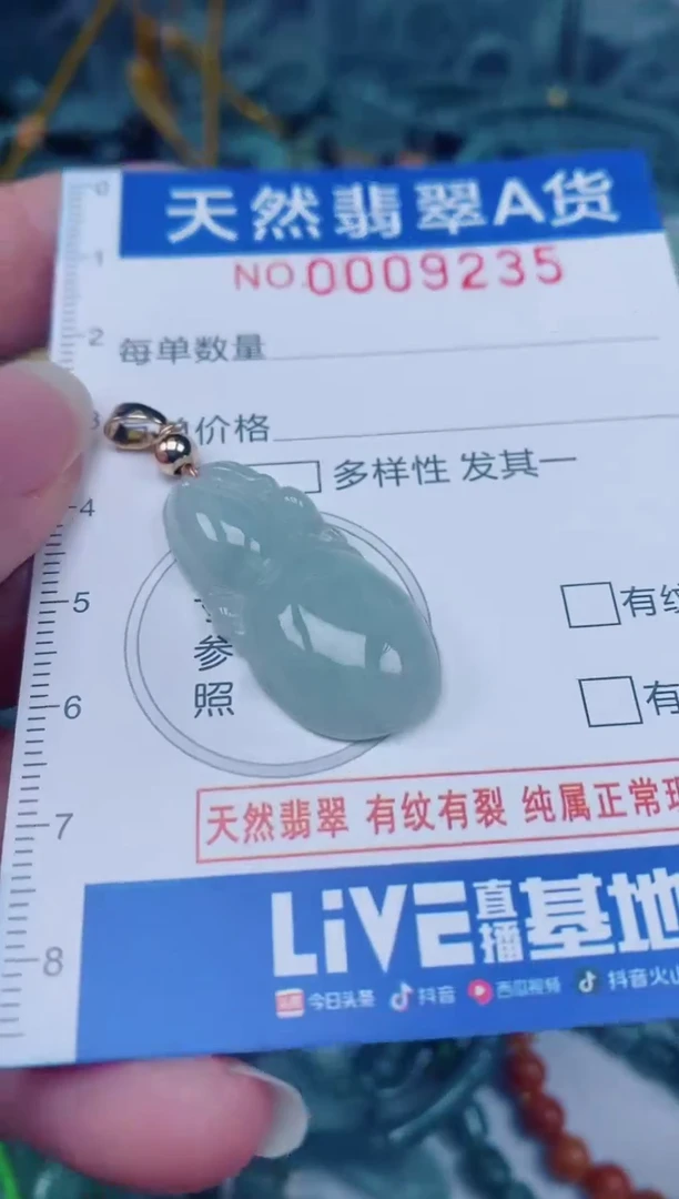 颈饰未镶嵌翡翠00009235
