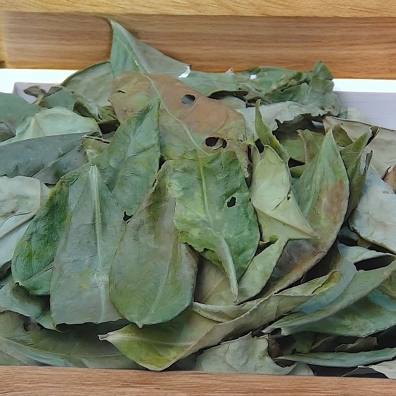 2024年立冬冬片传统工艺竹匾晾晒纯日晒花果香冰糖甜