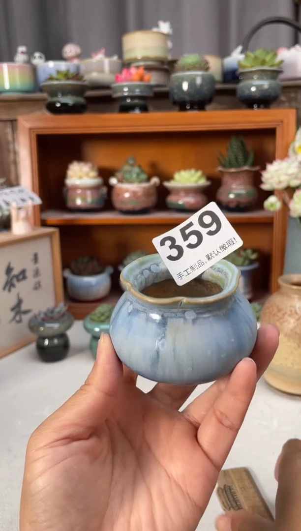 瓷片359知木小芳花盆