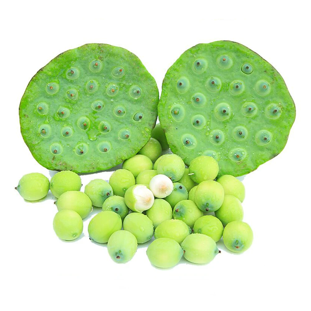 新鲜莲蓬现摘新鲜太空洪湖水果莲蓬 莲蓬嫩莲蓬莲子 加冰顺丰空运