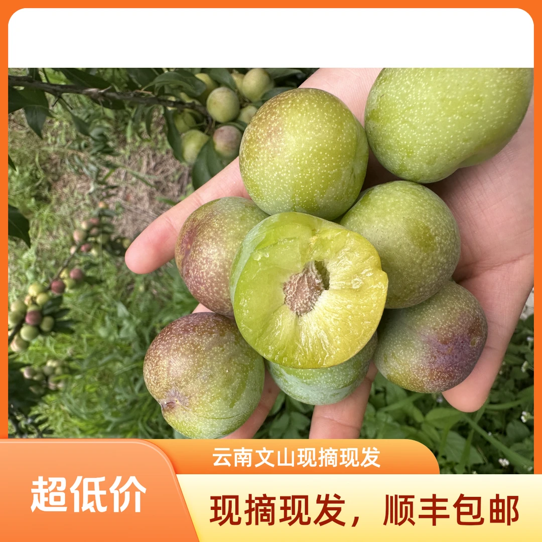 云南文山半边红，现摘现发，顺丰包邮，脱胡
