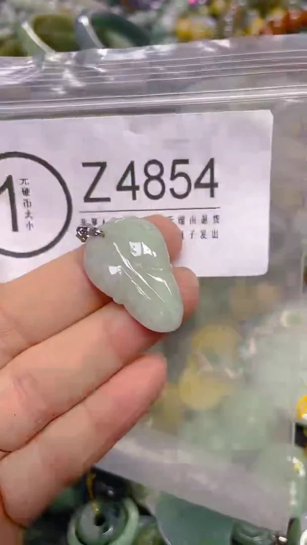 颈饰未镶嵌翡翠/ Z /翡翠A货，一件也是批发价