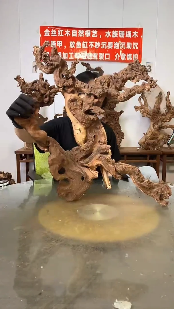 香榧木葱***蛋金丝红木   羊蹄甲